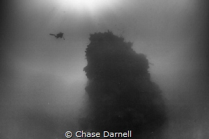 "Babylon"
This massive deep sea pinnacle is without a do... by Chase Darnell 